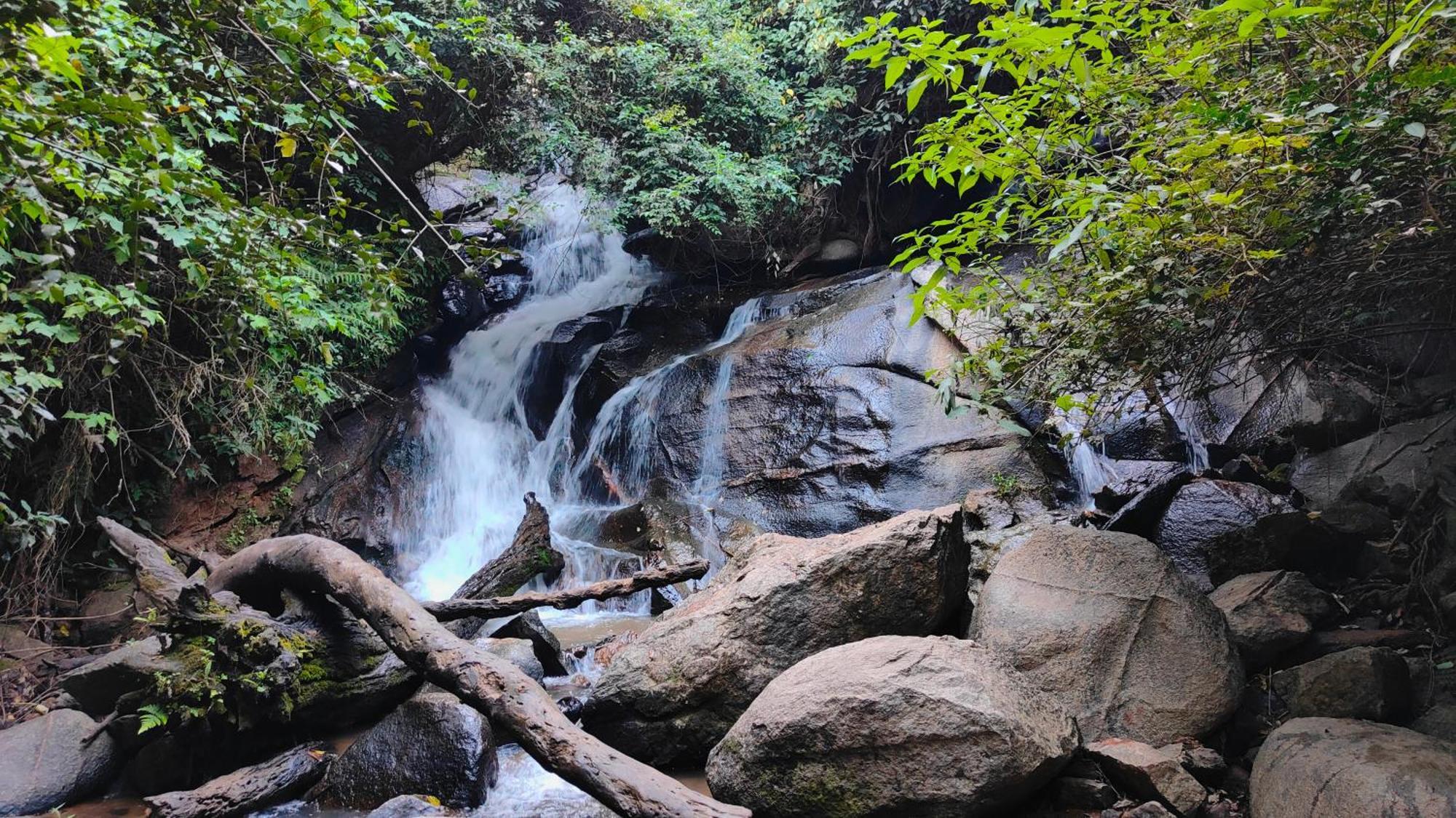 Heritage Homestay Chikmagalur Bagian luar foto